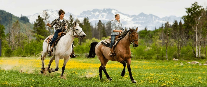 Confident plus-size woman riding Ripley a horse through a field with a smile on her face.